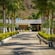 A dog walking down the entrance of La Dulce Vista retreat in Puerto Vallarta with palm trees on both sides